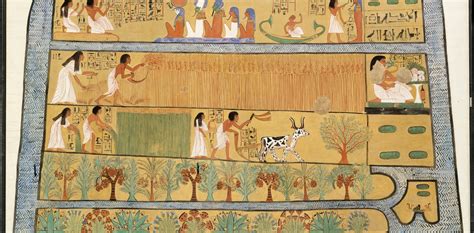 What 3,000-year-old Egyptian wheat tells us about the genetics of our daily bread