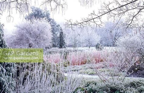 Winter garden. Cambr... stock photo by Howard Rice, Image: 0493168