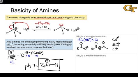 05.02 Basicity of Amines - YouTube