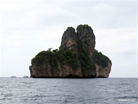 Koh Phi Phi Diving Resorts & Liveaboards | Diving Koh Phi Phi