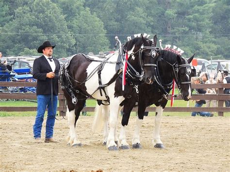 Warren County Fair | Warren Pennsylvania August 2013 | Jim Mullhaupt | Flickr