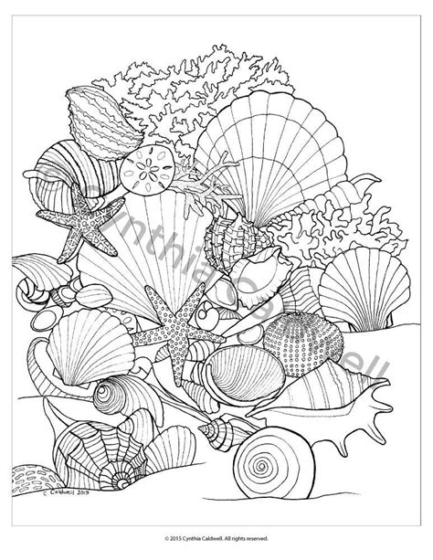 Seashells Coloring Page Instant Download - Etsy | Coloring pages, Coloring books, Adult coloring ...