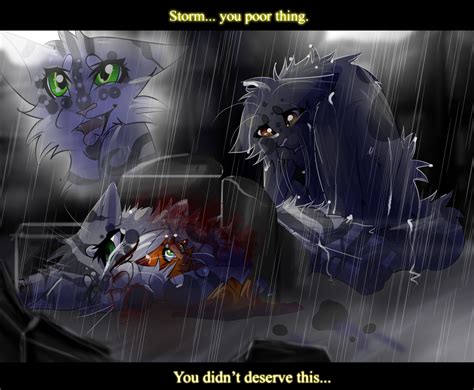 Storm's Death (Warrior Cats) by WarriorCat3042 on DeviantArt