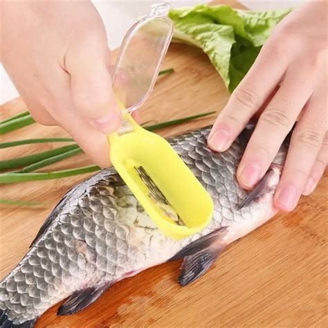 Aliexpress.com : Buy Plastic Fish Cleaning Tools Scraping Scales Device Fish Skin Steel Fish ...