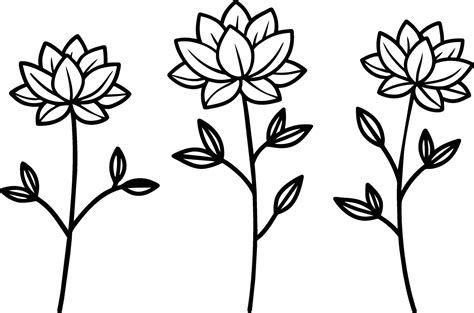 Set of Hand Drawn Line Flowers 41447800 Vector Art at Vecteezy