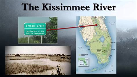 The History of the Everglades - YouTube