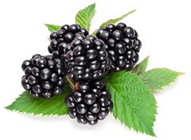 These Berries Reverse Type 2 Diabetes | Blue Heron Natural Health News