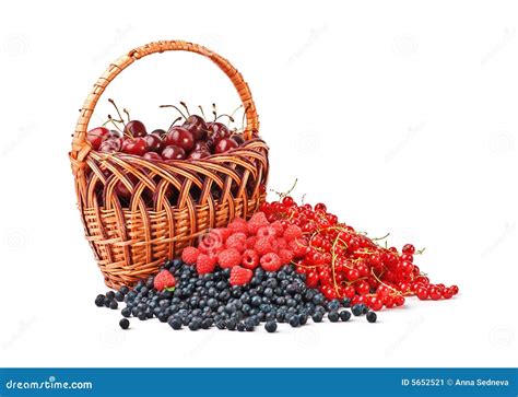 Berries and the basket stock image. Image of garden, food - 5652521