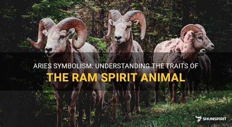 Aries Symbolism: Understanding The Traits Of The Ram Spirit Animal | ShunSpirit