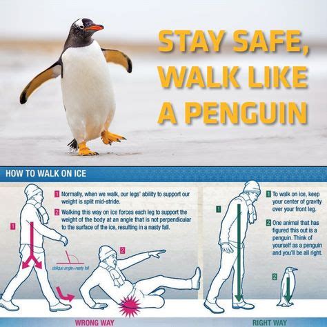 #safetytip Walk Like a Penguin On Ice. Click the image to learn more. #DeKalbHealth | Penguins ...