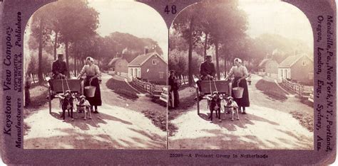 Do you know about stereoscopy? | Collections - Delcampe Blog