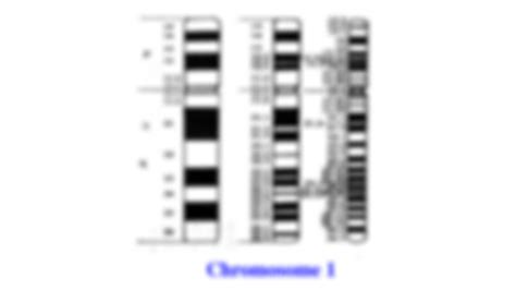 SOLUTION: an international system for human cytogenetic nomenclature - Studypool