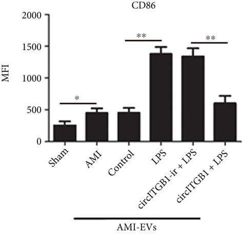 EV-circITGB1 regulates cardiac injury in vivo. (a) Relative expression... | Download Scientific ...