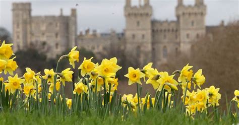 Berkshire weather: Met Office forecasts mild but cloudy conditions for ...