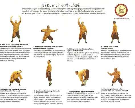 8 Brocades, Ba Duan Jin | Qigong, Tai chi qigong, Tai chi