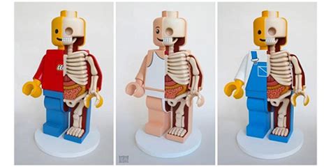 LEGO ANATOMY - Feel Desain | your daily dose of creativity