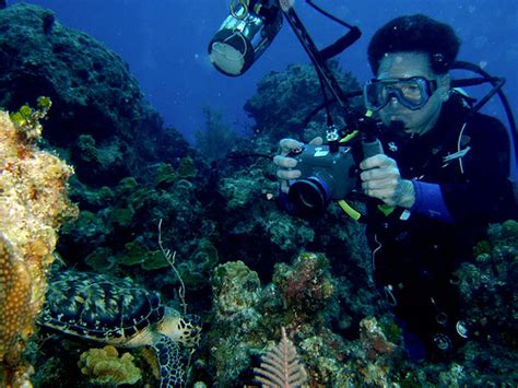 Photographer Training Class: Underwater Photographer Job Description Information