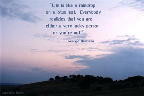 George Harrison Quotes. QuotesGram