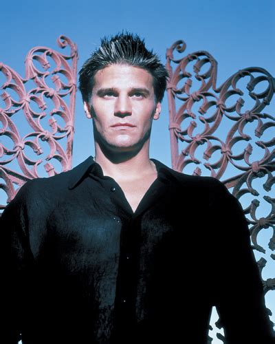 Boreanaz, David [Buffy The Vampire Slayer] photo