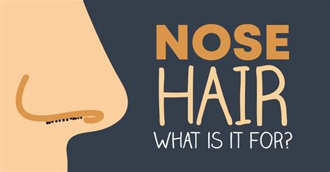 Nose Hair: Why It's So Important - Williams Integracare Clinic