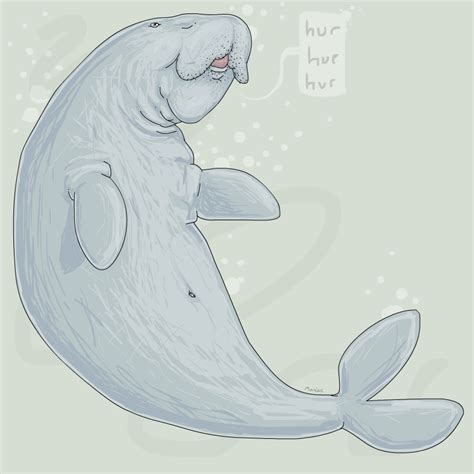 Dugong by StapledSlut on DeviantArt