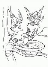 Fairies Coloring Page  Home sketch template