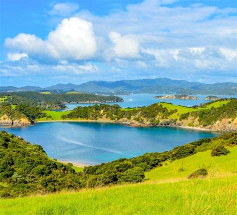 The BEST Paihia Tours and Things to Do in 2023 - FREE Cancellation ...