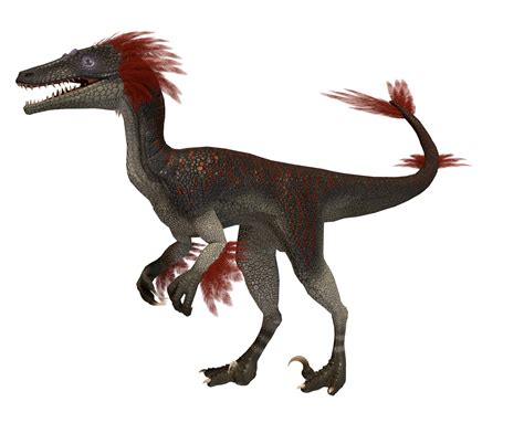 Austroraptor | Additional Creatures Wiki | Fandom