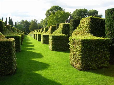 File:Eyrignac Manor - Gardens-02.JPG - Wikipedia, the free encyclopedia