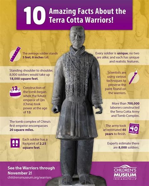 10 Amazing Facts about the Terra Cotta Warriors | The Children's Museum of Indianapolis ...