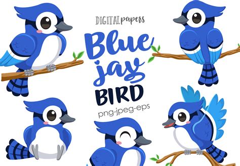 Blue Jay Bird Graphic by DIPA Graphics · Creative Fabrica