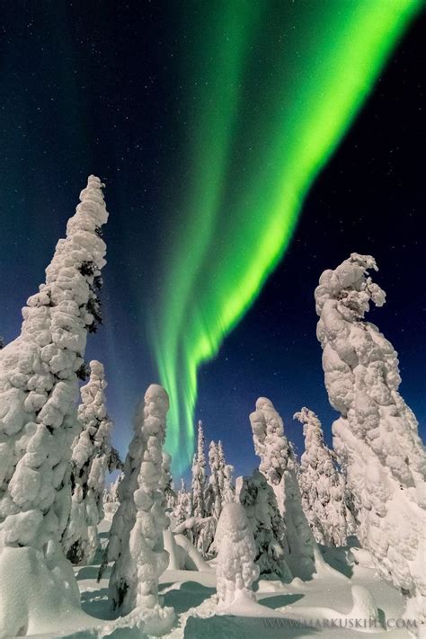 Winter wonderland | Northern lights photo, Nature, Northern lights