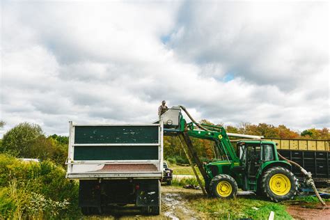 A Massachusetts Cranberry Harvest - With The Grains