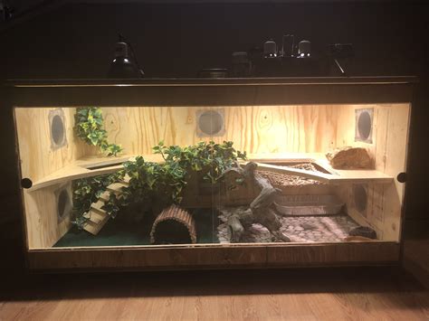 Pin by Elizabeth ibarra on rex | Bearded dragon terrarium, Bearded dragon, Room decor