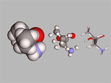 Collection of 21 alpha amino acids L- stereoisomers 3D model | CGTrader