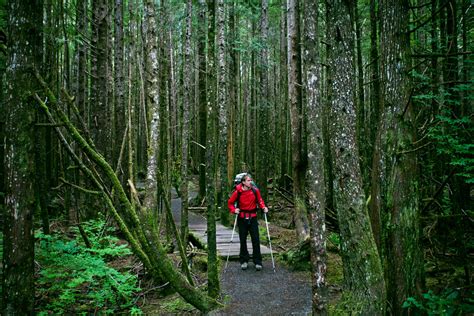 Hiking Washington State’s Rocky Olympic Coast - The New York Times