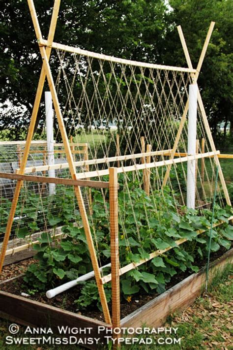 15 Easy DIY Cucumber Trellis Ideas - A Piece Of Rainbow