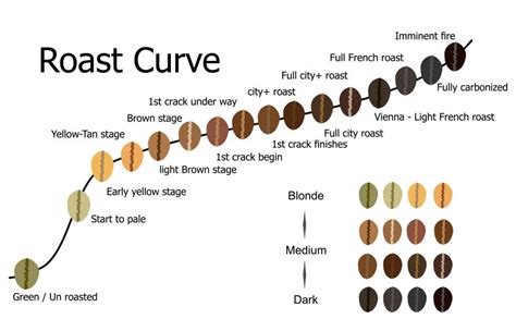 Coffee Roasting Process Flow Chart