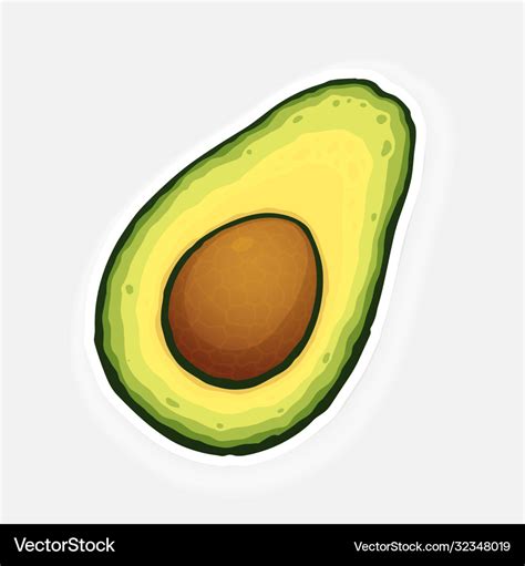 Half avocado fruit with seed inside Royalty Free Vector