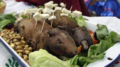 Frozen guinea pig meat in Montreal court - Montreal - CBC News