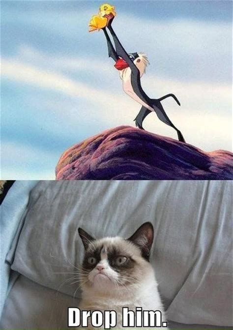 Grumpy Cat Meme | Funny Collection World