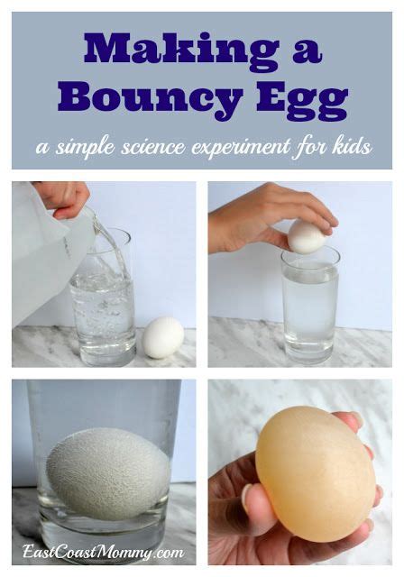 Making a Bouncy Egg... a fun and simple science experiment for kids ...