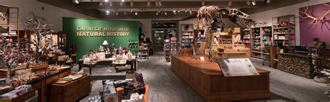 Museum Gift Store - Carnegie Museum of Natural History