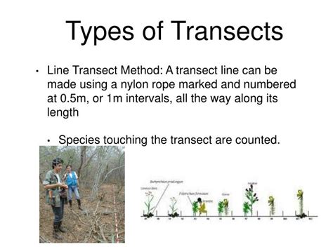 PPT - ECOLOGICAL SAMPLING METHODS PowerPoint Presentation - ID:4206818