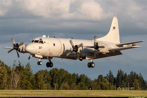 Lockheed P-3C Orion - USA - Navy | Aviation Photo #5029817 | Airliners.net