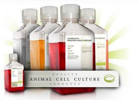 Animal Cell Culture Media at Rs 25000/piece | Cell Culture Media in New Delhi | ID: 4646805088