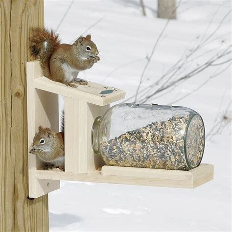 Duncraft.com: Duncraft 5729 Squirrel Jar Feeder | Squirrel feeder ...