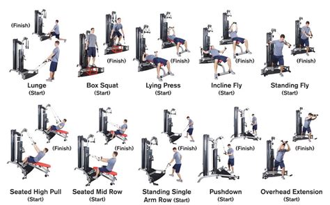 Full Body Machine Workout For Beginners - WorkoutWalls