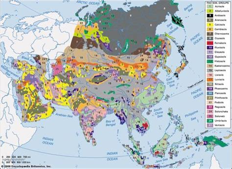 Vegetation Zones In South Asia - Andi Healthy