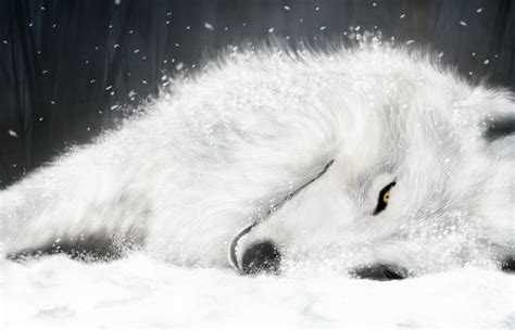 Framed Print - White Dire Wolf Sleeping in the Snow (Picture Poster Art Animal) (With images ...